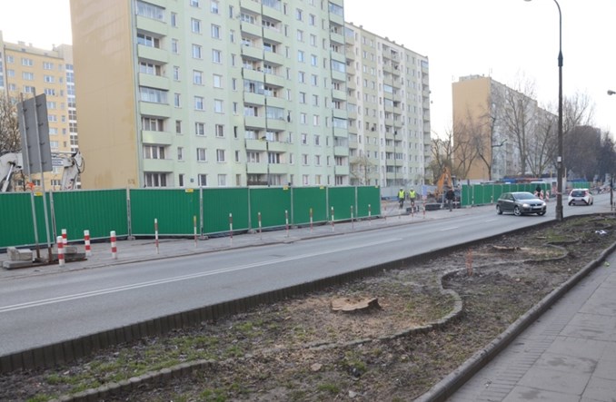 Budowa metra wycina drzewa. Za każde wycięte będzie nowe