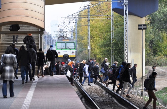Służewiec na czterech nogach. Stowarzyszenie chce placu