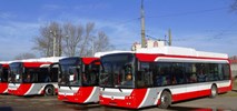 Częstochowa ma nową linię minibusową