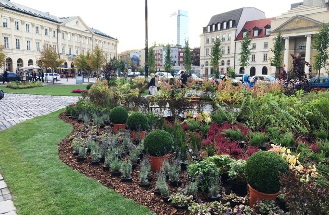 Warszawa. Zielone place, a pod nimi parkingi? Taki jest plan ratusza
