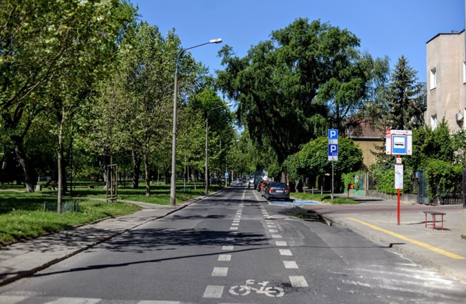 Warszawa zazieleni ulice. 18 tys. drzew miejskich i kolejne... z aplikacji