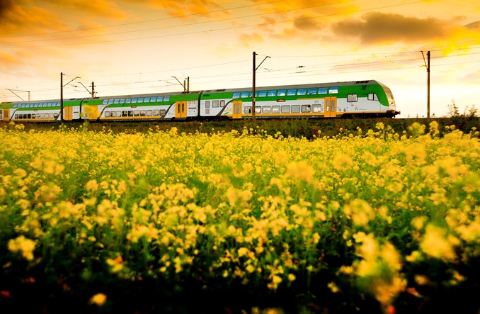 Udany eksperyment mazowiecki