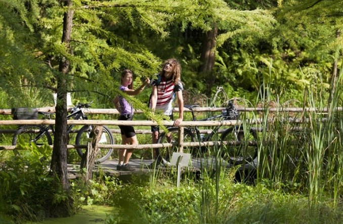 Green Velo. Jakie ma perspektywy?