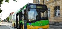 ZTM Poznań: Autobusy elektryczne jeszcze za drogie