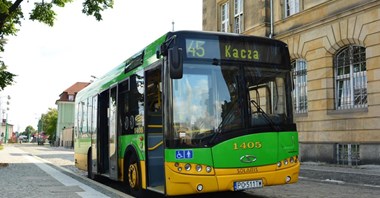W Poznaniu sześciolatki za darmo autobusem
