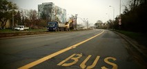 Które miasto ma najwięcej buspasów? Co mówią dane GUS?