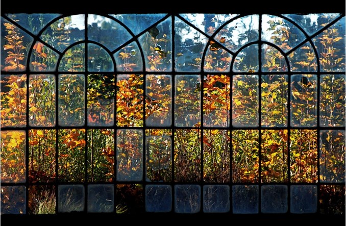 Kolejowa śmierć Pałuk