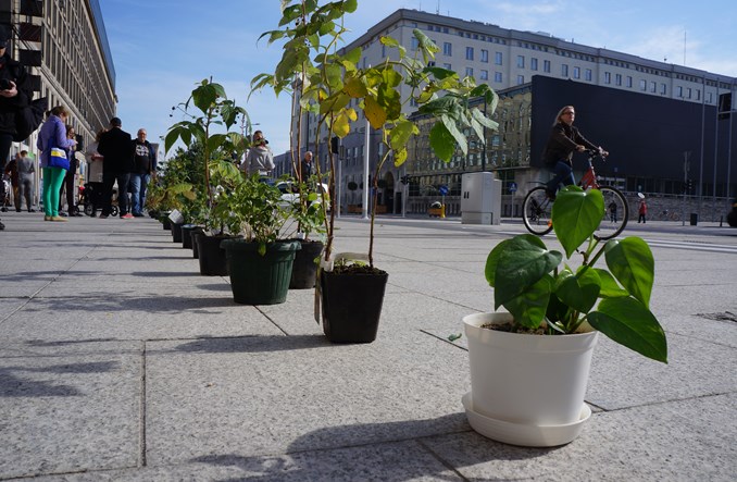 Warszawa. Świętokrzyska w betonie. Gdzie miejsce na zieleń?