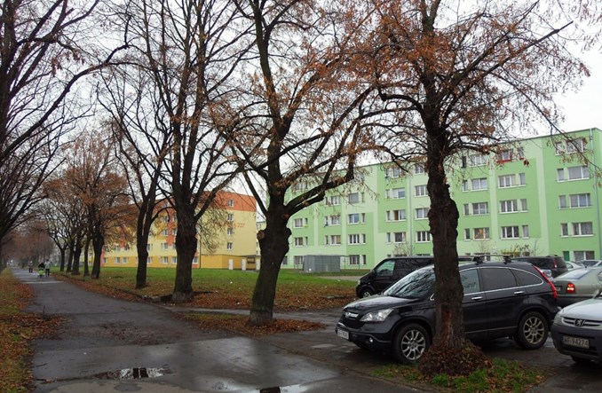 Gdańsk porządkuje parkowanie. Więcej stref, elektryki za darmo