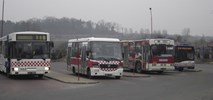 Solaris dostarczy trzy  autobusy do Głogowa