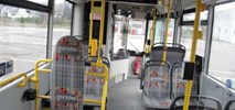 Gorzów Wielkopolski wydzierżawi autobusy