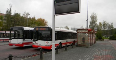 Jastrzębie-Zdrój z bezpłatną komunikacją miejską