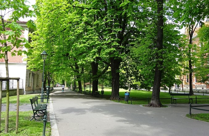 Kraków chce walczyć zielenią z nielegalnym parkowaniem