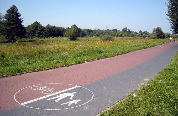 GUS bada długość dróg rowerowych w powiatach