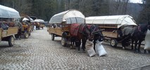 Transport nad Morskie Oko. Czy w ogóle potrzebny?