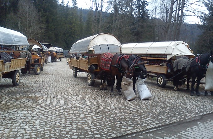 Transport nad Morskie Oko. Czy w ogóle potrzebny?