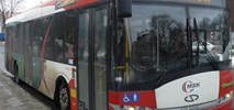 Gorzów Wlkp. z przetargiem na 6 autobusów niskopodłogowych