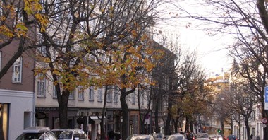 Jak Oslo walczy ze smogiem? Zakaz samochodów we wtorek i środę