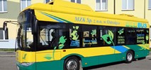 MZK Ostrołęka z jedną ofertą na leasing autobusów