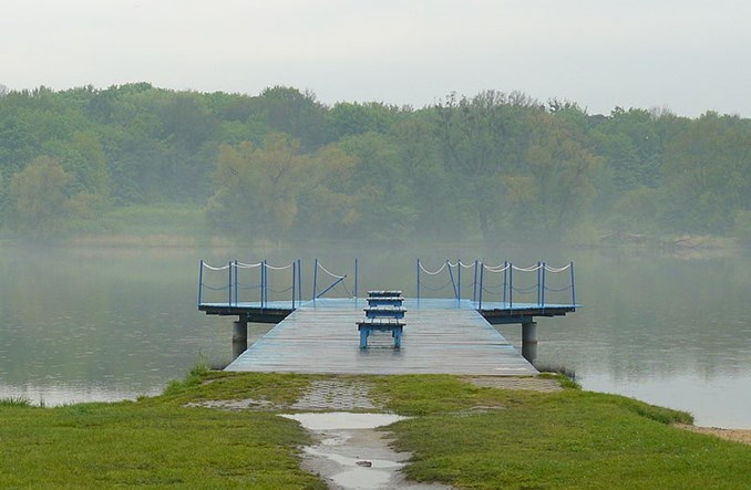 Poznań się zazieleni. Wyniki Budżetu Obywatelskiego 2016