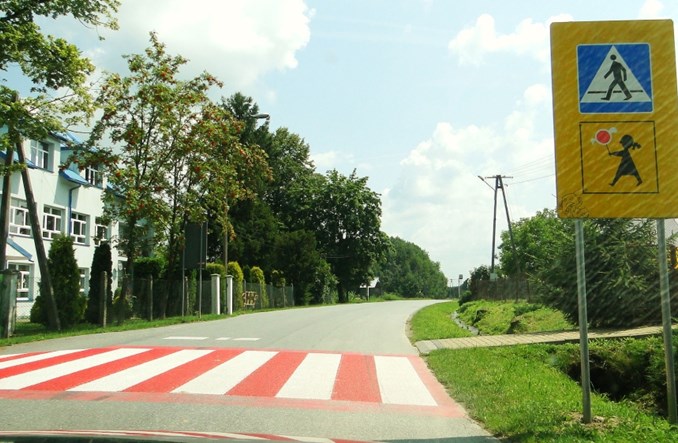 NIK: Nieskuteczne działania policji na rzecz bezpieczeństwa pieszych