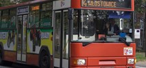 Puławy. MZK kupuje 16 autobusów różnych długości