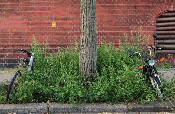 Jak Berlin godził samochody i rowery