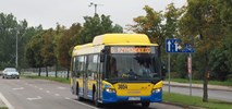 O Krętych Trasach Autobusów