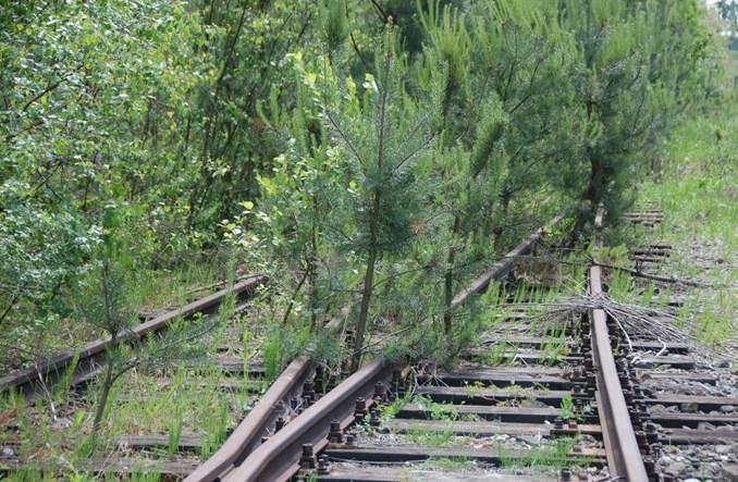 Jest szansa na przywrócenie kolei „małym ojczyznom”