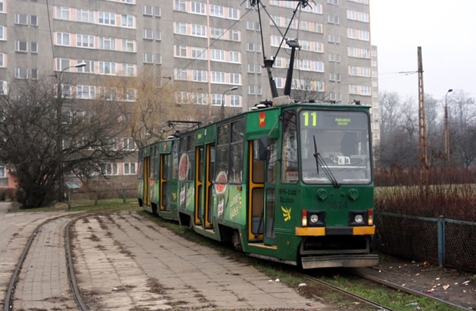 Pabianice z pasami tramwajowo-autobusowymi?