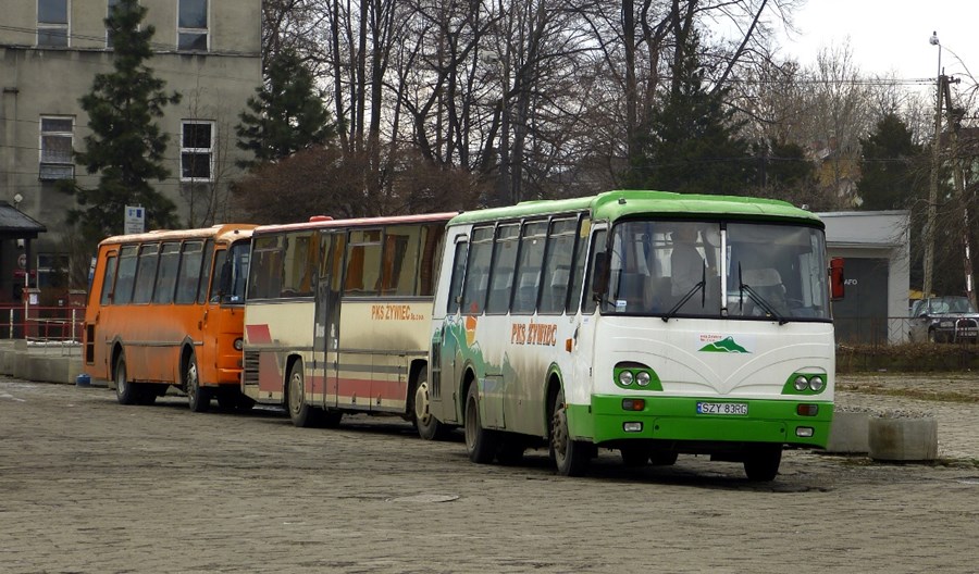 Publiczny transport zbiorowy w Polsce. Studium upadku Publiczny transport zbiorowy w Polsce. Studium upadku
