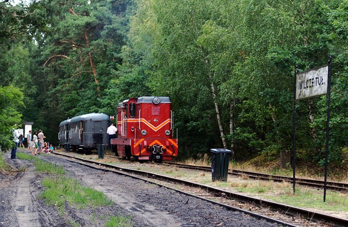 Sochaczewska wąskotorówka wróciła do puszczy