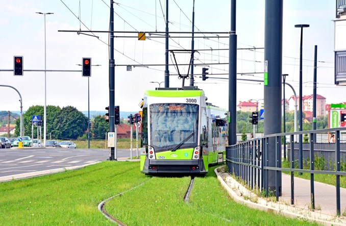 Ponad sto lat zielonych torowisk tramwajowych
