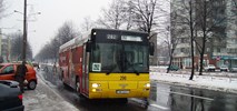 KZK GOP szuka przewoźnika z autobusami na gaz