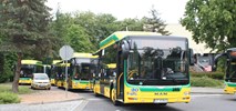 Suwałki z częściowymi ofertami na 15 autobusów CNG