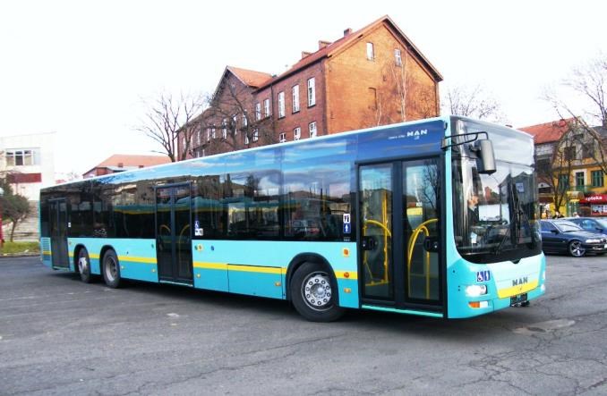 Jaworzno nie chce wejść do śląskiej metropolii 