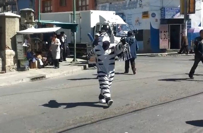 Czy „zebry” znikną z przejść dla pieszych w La Paz?