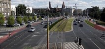 Wrocław wprowadza zieleń na głównych ulicach wjazdowych