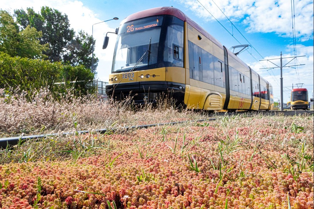Tramwaje Warszawskie: rekordowy rok remontów, nowych tras i zielonych torów