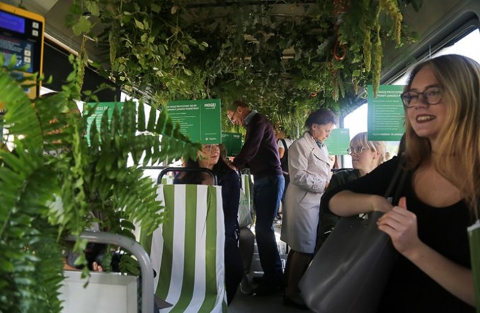 Górny Śląsk. Dżungla w tramwaju Górny Śląsk. Dżungla w tramwaju