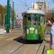 Górny Śląsk. Dżungla w tramwaju Górny Śląsk. Dżungla w tramwaju