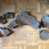 Metro na Wolę: Szczątki prehistorycznego zwierzęcia sprzed 100 tys. lat