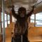 Gdańsk. Świąteczny tramwaj z orangutanicą na pokładzie Gdańsk. Świąteczny tramwaj z orangutanicą na pokładzie