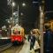 Gdańsk. Świąteczny tramwaj z orangutanicą na pokładzie Gdańsk. Świąteczny tramwaj z orangutanicą na pokładzie