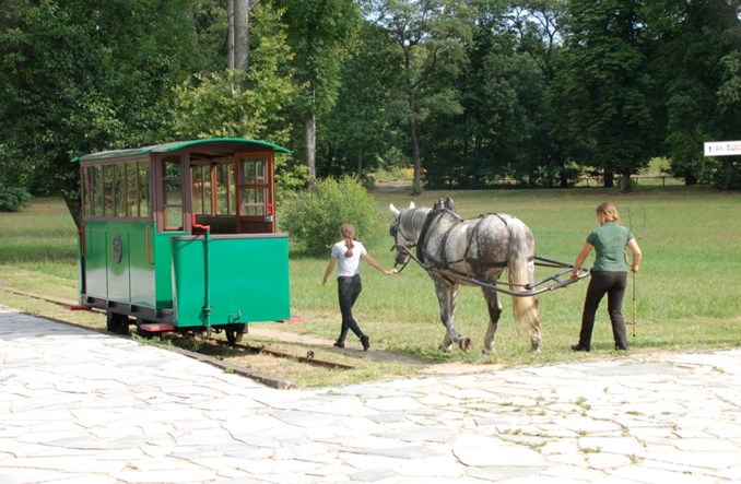 Tramwaj konny w Mrozach (fotorelacja)