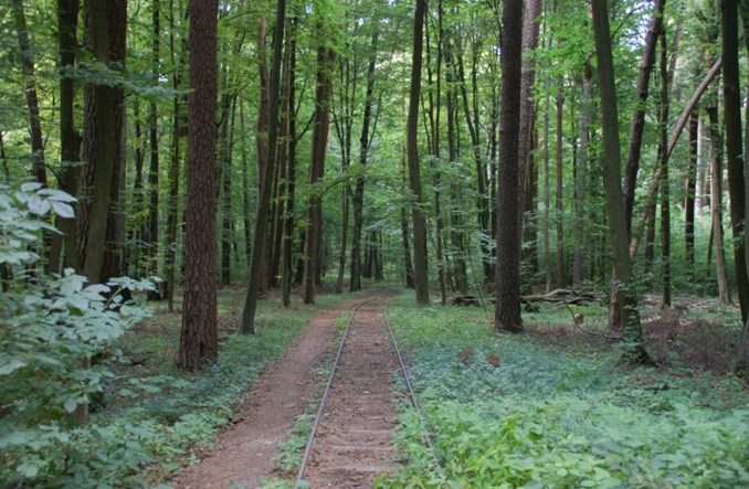 Tramwaj konny w Mrozach (fotorelacja)