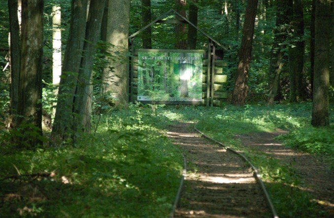 Tramwaj konny w Mrozach (fotorelacja)