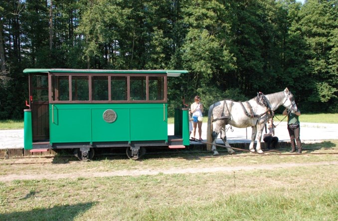 Tramwaj konny w Mrozach (fotorelacja)