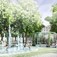Wiedeń: Zieleń zamiast betonu. Nowe parki ochłodzą miasto