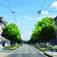 Katowice: Zazielenienie ulicy Warszawskiej – drzewa zamiast samochodów